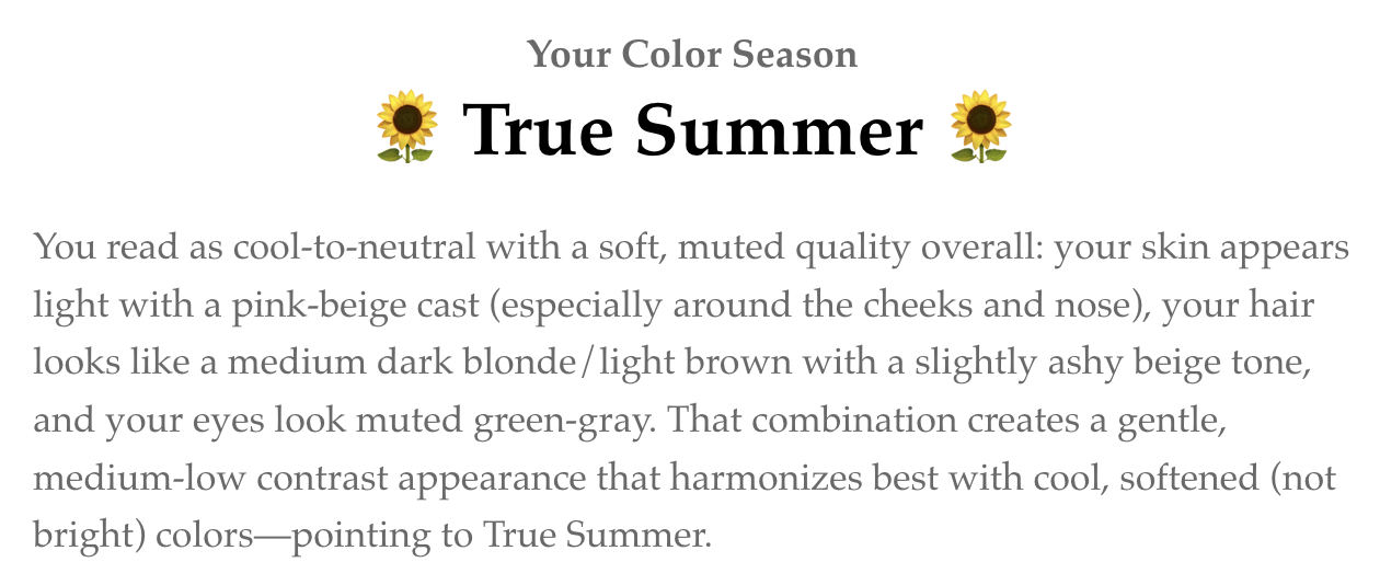 Men's seasonal color analysis result 3